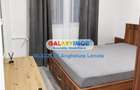 Drumul Taberei Bld Timisoara apartament 2 camere de inchiriat - 6