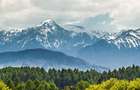 Film! Teren cu destinatie turistica si agrement, Poiana Brasov - Rasnov - 3