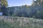 Teren intravilan de vanzare in padure Cisnadioara - 11