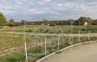 Teren intravilan cu PUZ aprobat - 23.734 mp -Selimbar, limita Cisnadie - 4