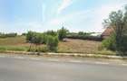 Teren intravilan 5.000 mp | Tămădău Mare | DN3 | Parcelabil - 3