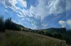 Teren cu potențial turistic, cadru natural rar, 20.000 mp  Sacuieu - 3