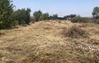 Teren rezidential 1352mp langa padure. Ciorogarla -toate utilitatile la poarta - 4