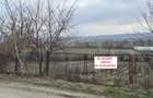 Teren intravilan de vânzare – Coltău, Maramureș | Zonă rezidențială de case - 6