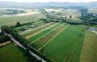 Teren 10,000mp Nemtisor / DJ 155C - 1