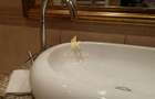 Apartament  de inchiriat cu 2 camere - Universitate - 6