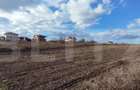 Teren cu autorizatie 2 duplexuri, 4600 mp intravilan, Miroslava - 4