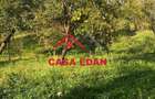 Teren extravilan in Brebu(Pietriceaua)--9104mp--50.000e - 7