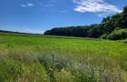 Oportunitate Unică! Teren de Vânzare aproape de Pădure – Ciolpani Izvorani - 8