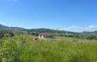 Oportunitate de investitie,Valea ghinzii,Teren de 1,2 Hectare - 2