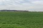 REL4001048 Teren Magurele - 16573 mp - Acces Dublu - Proximitate A0 - 5