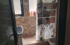 Apartament 2 camere, zona Plantelor, parter. - 10