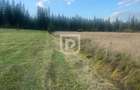 Teren intravilan  – Poiana Stampei 🌲 - 1