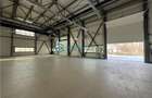 Royal Imobiliare-  Spatiu Industrial Zona Exterior Vest - 3