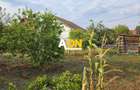 Casă 3 camere, 630 mp teren, zona Schit, Cetate
