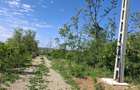 Teren intravilan de vanzare 9783 mp, in Paleu, Bihor - 5
