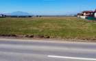 Teren intravilan 18.200mp, cu PUZ si PUD, ideal constructi case, Bod, Brasov. - 19