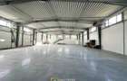 Hala de inchiriat, Arad Zona Industriala Sud- 871 mp - 2