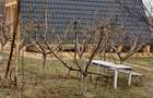 Cabana din lemn la Baisa - 1