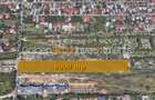 Teren 9.000 mp – Str. Matei Milo, Voluntari | Dezvoltare sau asociere - 2