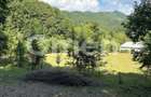 Teren extravilan de vânzare | 1402 mp | Blidari | zonă superbă - 8