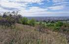 RECO Teren  intravilan- panorama asupra orasului -str. Caisilor - 14