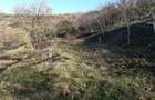Teren cu acces facil și priveliște panoramică în Podgoria Oradea - 3