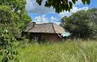 Casa de vanzare l Dangau Mare l 3135 MP Teren - 16