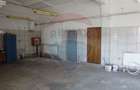 Exclusivitate, hala de inchiriat 210mp, acces direct din B-dul Muncii - 4