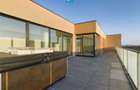 Penthouse 3 camere, terasă 103 mp, Torontalului - 10