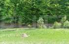 EXCLUSIVITATE! Teren extravilan, 5.400 mp, Comuna Iara, Valea Vadului - 6