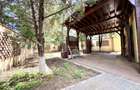 Vila Baneasa, teren 380mp, pretabilă birouri, restaurant, hub, curte - 14