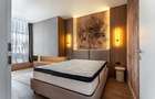 Proprietar - ofer spre închiriere apartament 2 camere  ONE LOFT NORTH  - 5