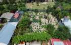 Casa 4 camere Central - 25
