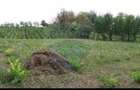 Teren 6,890mp Crasna / Strada Crasna - 6