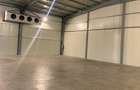 ZONA INDUSTRIALA hale de inchiriat diferite suprafete 5E/mp +TVA - 6
