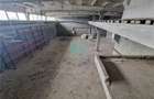 Hala industriala de inchiriat, 600 mp, Codlea, Brasov - 2