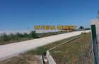 Ovidiu-PECO Celsy- DN 2A teren intravilan, zona industriala - 11