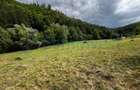 Teren extravilan de vanzare in Calatea, comuna Astileu, Bihor - 2