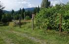 Teren intravilan in Izvoru Muresului str. Taberei - 3