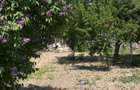 Teren intravilan Focsani - Golesti - 1