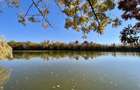 Teren 6000 mp pozitie deosebita lacul Baneasa adancime 140 m - 13