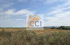 Teren intravilan– 50.000 mp, Bacău, Șoseaua Hol - 7