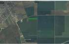 Teren industrial 9.817 mp cu acces direct la breteaua A2–DN3, Brănești - 1