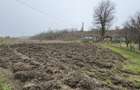 Teren 2.038 mp + Casă 50 mp de vânzare – Sat Luncsoru, Com. Ghercești - 4