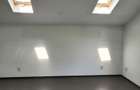 Vilă spațioasă S+P+1E+M | Chitila | Str. 8 Martie - 9
