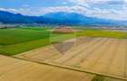 Comision 0% | Teren extravilan agricol 20.000 mp | Cristian, Brașov - 1
