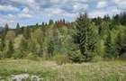 Teren 4048mp Campulung Moldovenesc, Strada Izvorul Alb, Suceava - 2