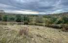Teren Extravilan, 2800mp Perfect pentru Investitie - 5