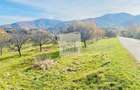 Teren intravilan 1000mp | Sibiel | Panorama superba | Ideal casa | pensiune - 5